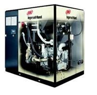 Suzhou, Kunshan Ingersoll Rand Nirvana series inverter screw air compressor sales and maintenance