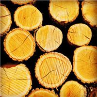 Tianjin timber import customs agents