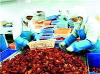 龙虾养殖产销流程