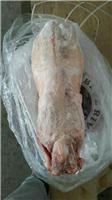 Supply of New Zealand lamb carcass