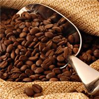天津咖啡豆进口代理公司