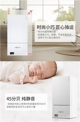 Bosch boiler European fashion Hefei Monopoly