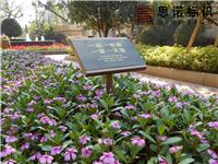 Roadmap oriented brand mall floor flat index cards