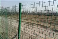 京山县农庄护栏网/果园种植专业合作社铁丝网围栏