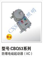 浙江较优惠的CBQ53系列防爆电磁启动器 IIC 供销