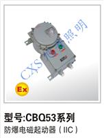 批发供应防爆电磁启动器 厂家直销 多种规格可选