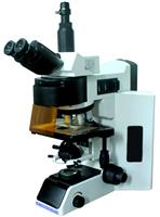 Five-band LED fluorescence microscopy FM-YG 100