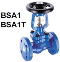 Spirax Sarco BSA1T shutoff valves