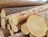 威龙木业供应俄罗斯樟子松原木