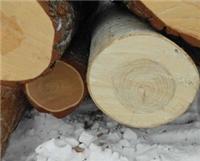 威龙木业供应俄罗斯杨木原木