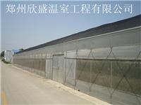 蔬菜大棚建造价格低，质量优，郑州欣盛用户可以选择