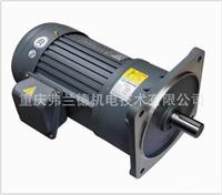 Professional supplier of gear motors with brake