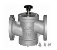 Johnson dynamic balancing valve