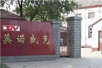 Hebei Xuanhua drill head wholesale sales