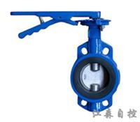 Johnson Butterfly Valve