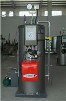 100公斤燃气蒸汽发生器