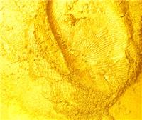 The role of reflective powder fields in the screen printing industry