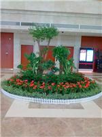 办公室花卉租赁 商场绿植租摆设计与施工——郑州风景园艺场
