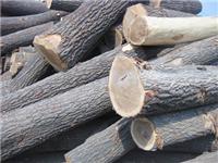进口欧洲白蜡木原木 防腐防虫白蜡木木材批发