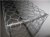 供应金照矽胶涂塑石笼网|矽胶涂塑格宾网|格宾网厂家|格宾网规格