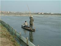Wuhan Dragon shrimp aquaculture respected ecological lobster breeding environment