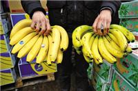 Guangzhou banana import declaration | Agents | Clearance | Process | Out | Fees Jun Bo