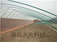 清丰县农业连体大棚建设安装技术