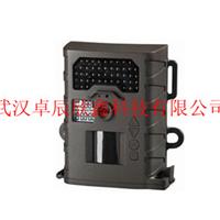 Wholesale wild SG-008 infrared camera to monitor the trap field
