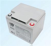 Guangdong Yuasa Battery factory direct spot NP38-12