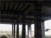 Carbon fiber reinforced structure Liangzhu Zi Ruichang