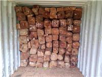 Guangzhou Huangpu Port imported African wood logs customs Myanmar eggplant Company | Cameroon Burma merbau logs import declaration fee