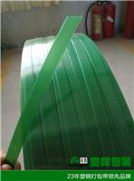 绿色透明打包带 pet塑钢带 塑料打包带 实力厂家特价供应