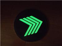 Metro Edelstahl Feuerleiter mit einem sicheren Ausgang Evakuierung Leuchttyp gerader Pfeil-Logo