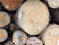 威龙木业供应新西兰辐射松原木