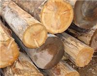 威龙木业供应加拿大铁杉原木