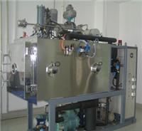 Tofflon secondary freeze-drying machine