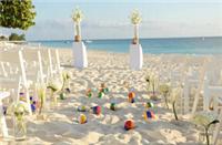 浪漫海滩婚礼 骄阳似火的爱情