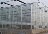 实力强的玻璃温室大棚建造北方园艺温室提供