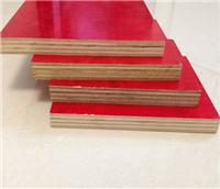 中南神箭建筑模板厂供应 桉木整芯木模板 防水防腐易于搬运