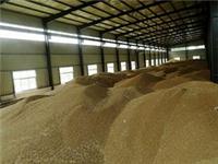 Pingdingshan wheat wholesale _ Liang Mao-billion to buy the best wheat