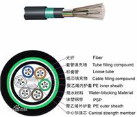 **的光纤电缆由北京地区提供