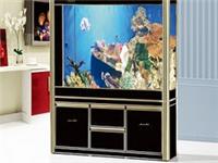 Chengdu care field to teach you to buy a professional aquarium fish tank Mianyang