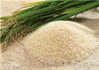 荆门地区有分销大米——较优惠的荆门优质大米