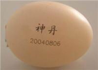 Guangzhou egg production date laser coders, eggshell marking laser marking machine equipment manufacturers