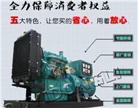 30Kw潍坊发电用柴油机厂家直销批发 船用柴油机配件价格 工程柴油机水泵