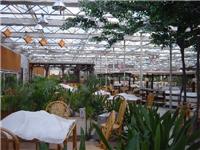 生态餐厅温室可以选择鼎鑫农业科技公司