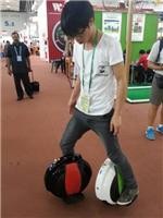 Lithium electric bike: selling price on the market for electric unicycle