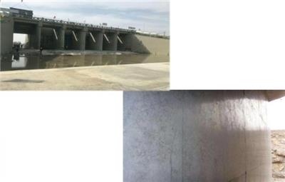 Zhumadian health professional grout grouting material manufacturers