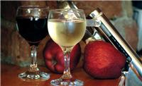 Qingdao port wine agent import clearance process in Belgium
