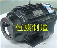 Standard piston pumps - pumps within the shaft of the motor
